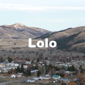 Lolo Montana